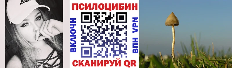 Псилоцибиновые грибы мицелий  KRAKEN tor  Оханск  где продают наркотики 